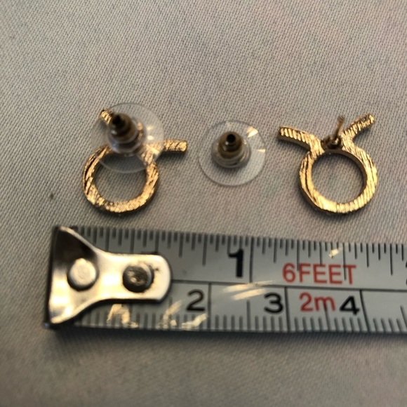 💜3/$30 Horoscope Zodiac Taurus The Bull Clear crystal earrings - Picture 5 of 7